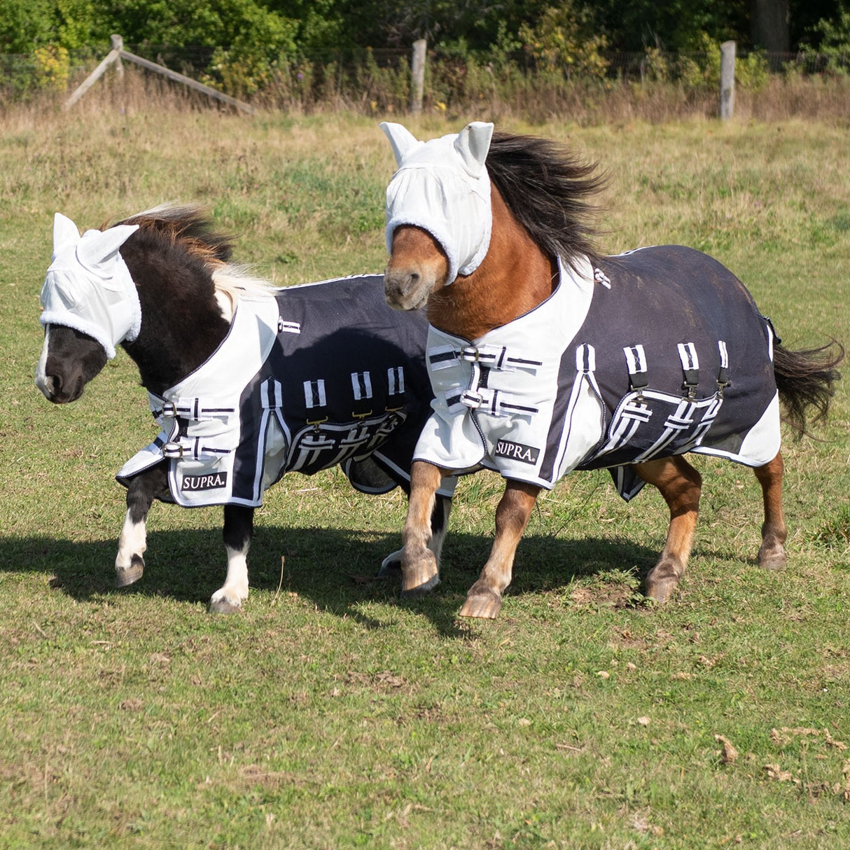 Supra Miniature Fly Sheet W- Belly Band & Fly Mask