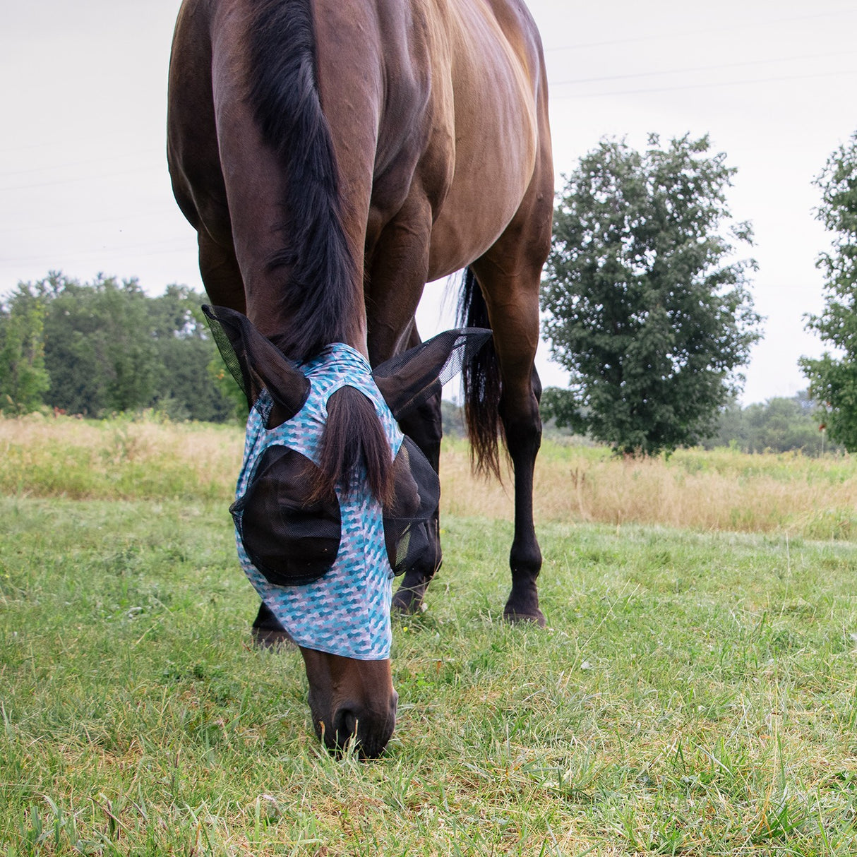 Summit Fly Mask W/ Forelock Hole