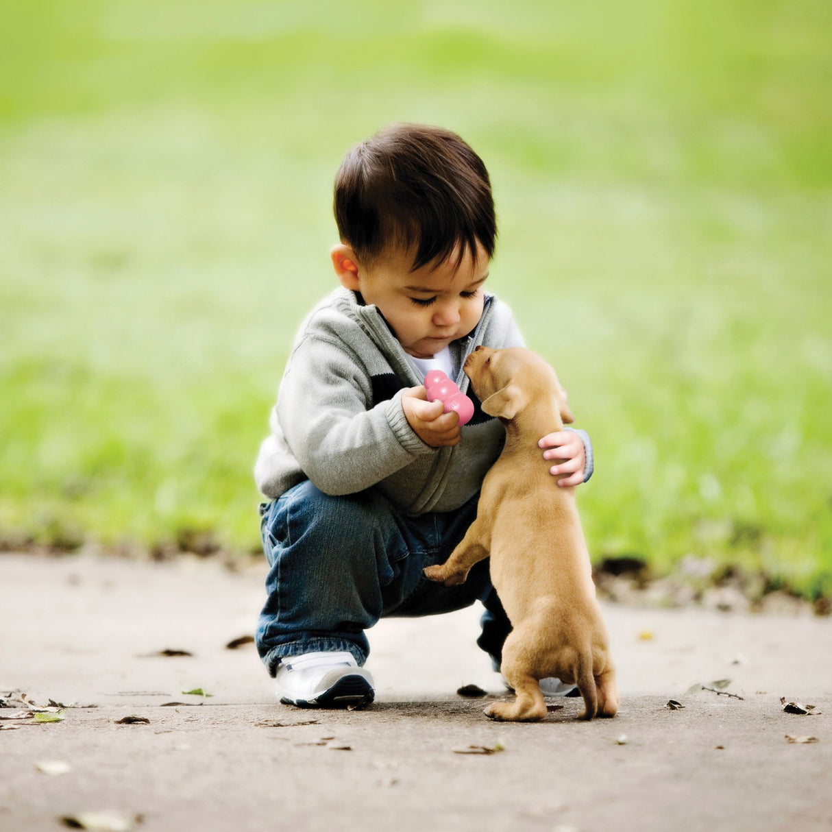 Kong Chiot