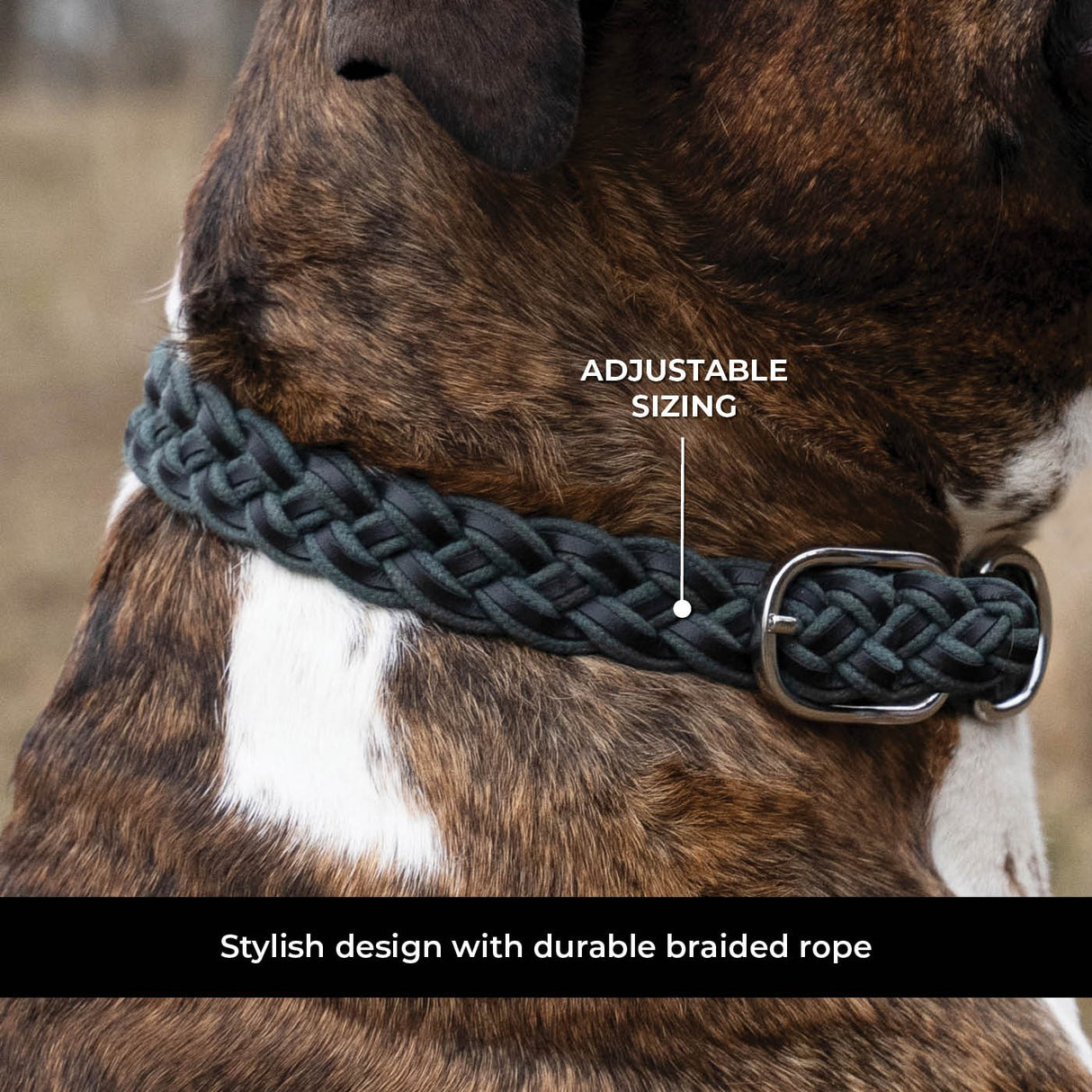 Shedrow K9 Rideau Corde tressée et collier en cuir
