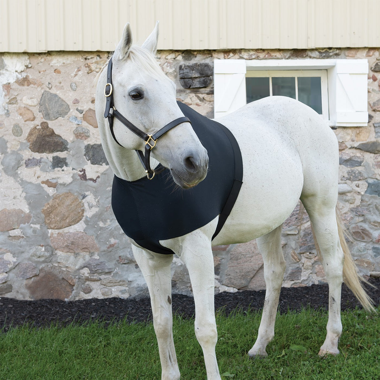 Shedrow Lycra Shoulder Guard