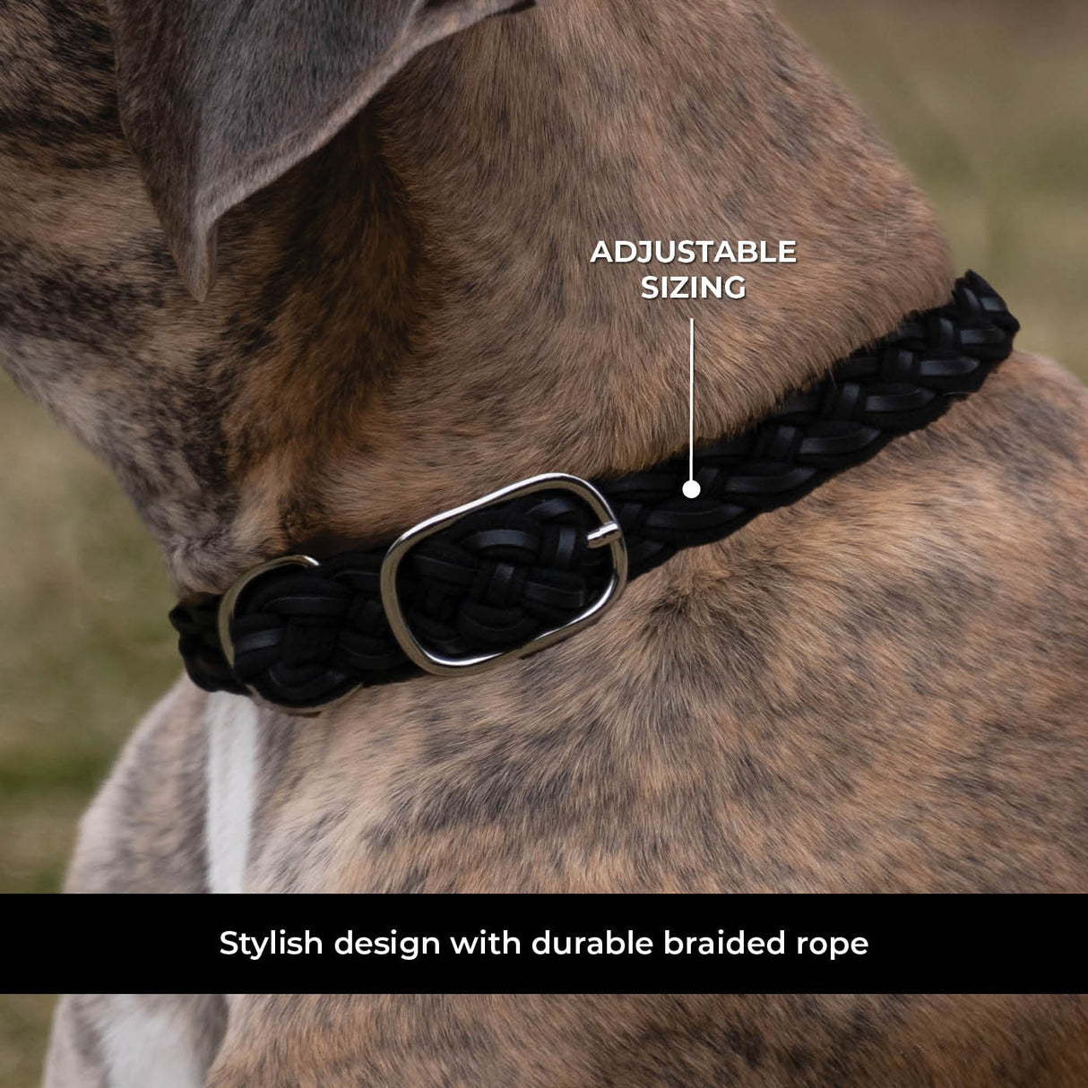 Shedrow K9 Rideau Corde tressée et collier en cuir