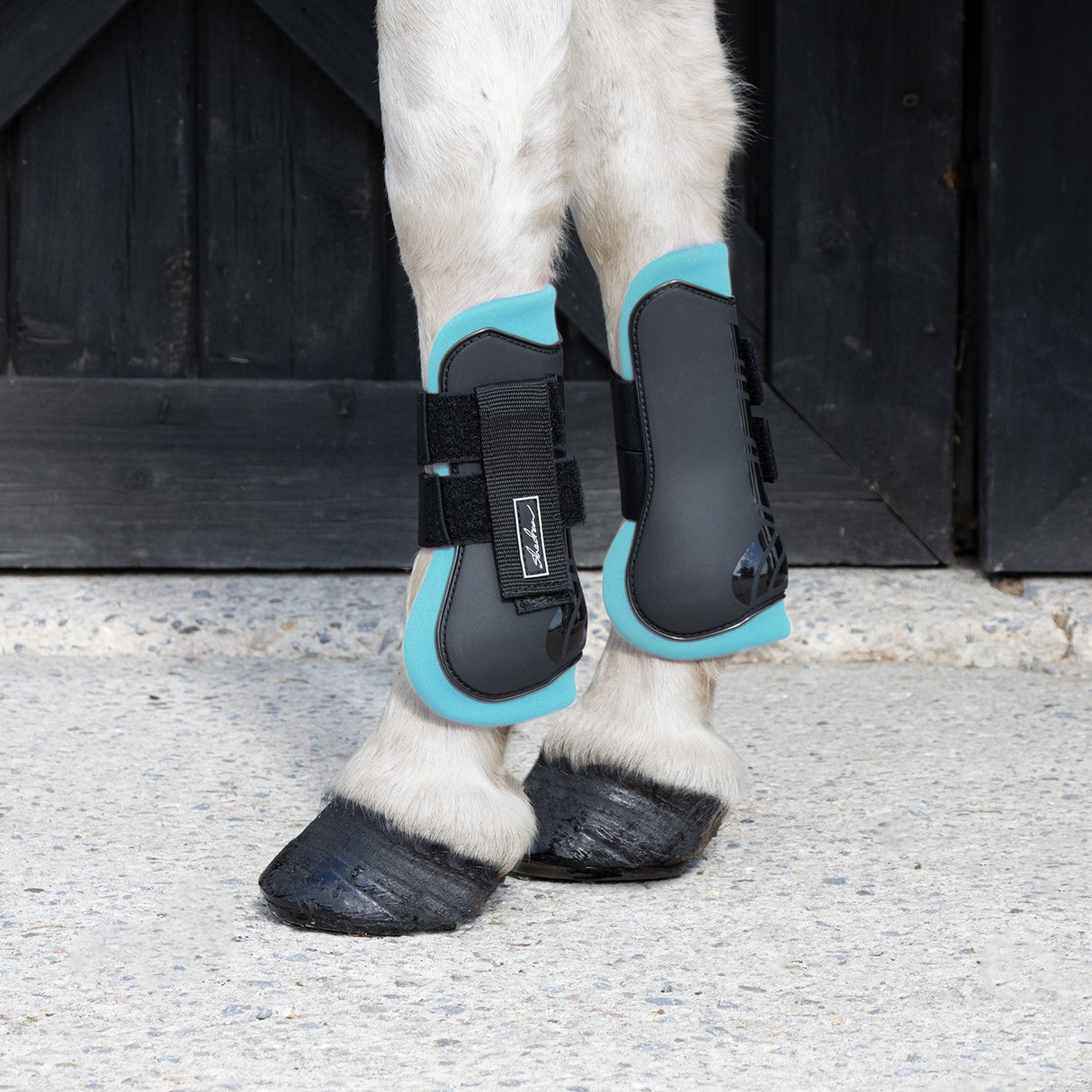 Bottes ouvertes sur le devant Shedrow