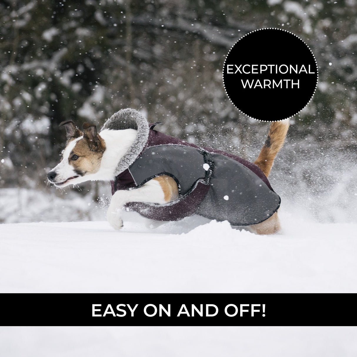 Shedrow K9 Chinook Dog Coat