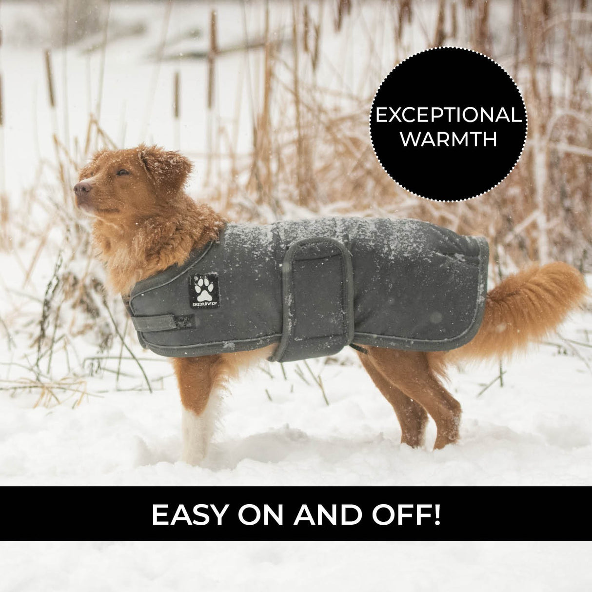 Manteau pour chien Shedrow K9 Vail