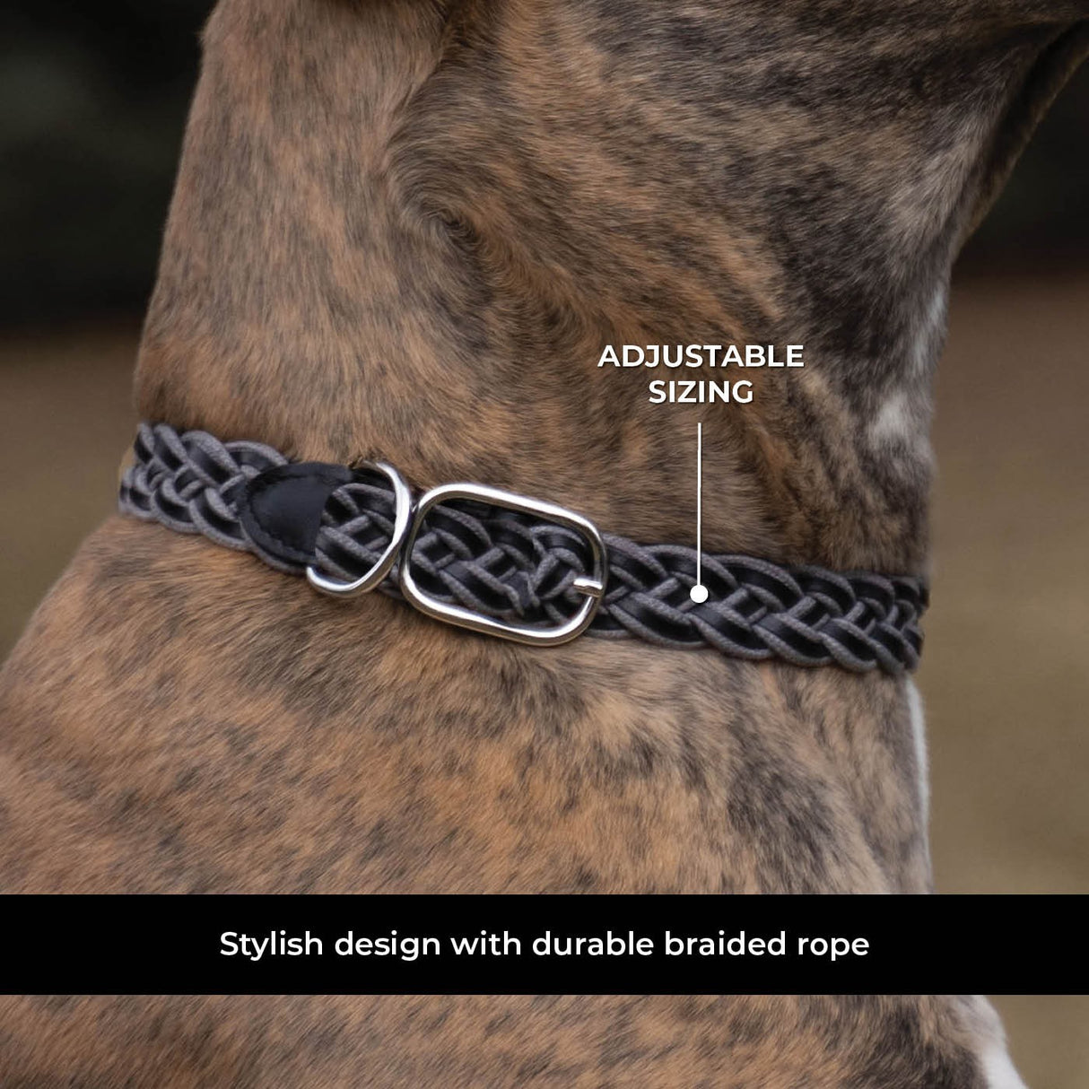 Shedrow K9 Rideau Corde tressée et collier en cuir