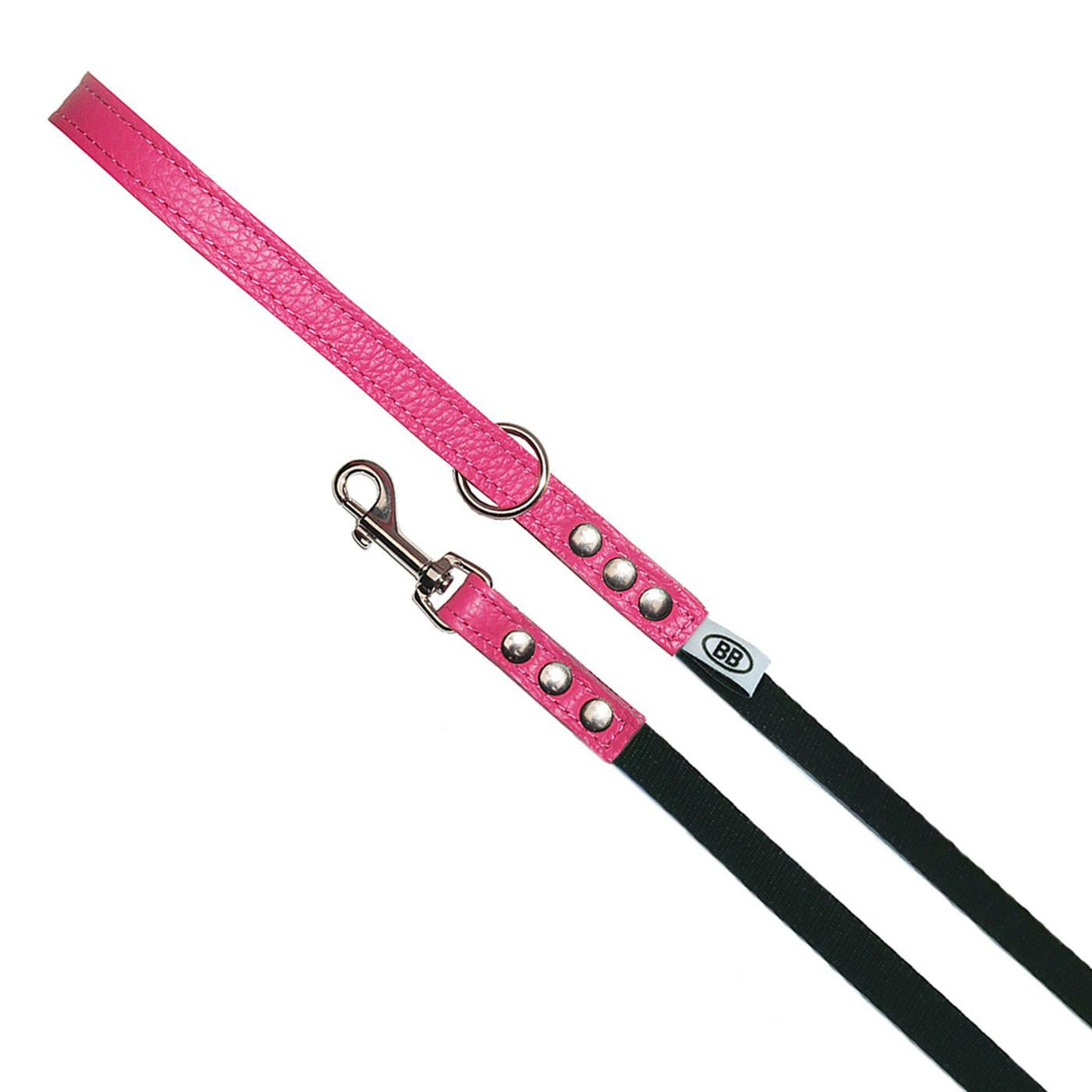Buddy Belt Accent Leather & Nylon Leash 1-2 In. x 4 Ft.