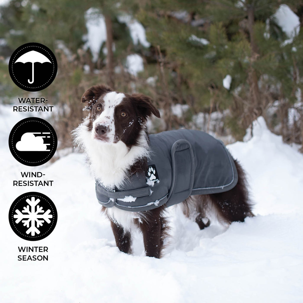 Manteau pour chien Shedrow K9 Vail