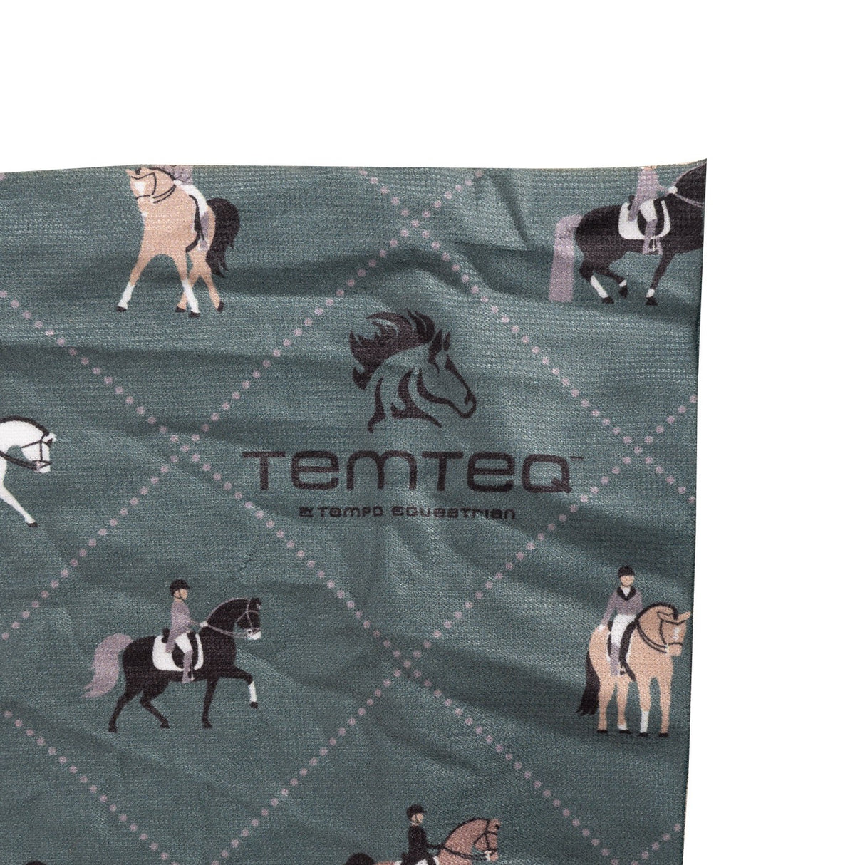 TemTeq-Buff Diamond Dressage Original EcoStretch Multifunctional Neckwear