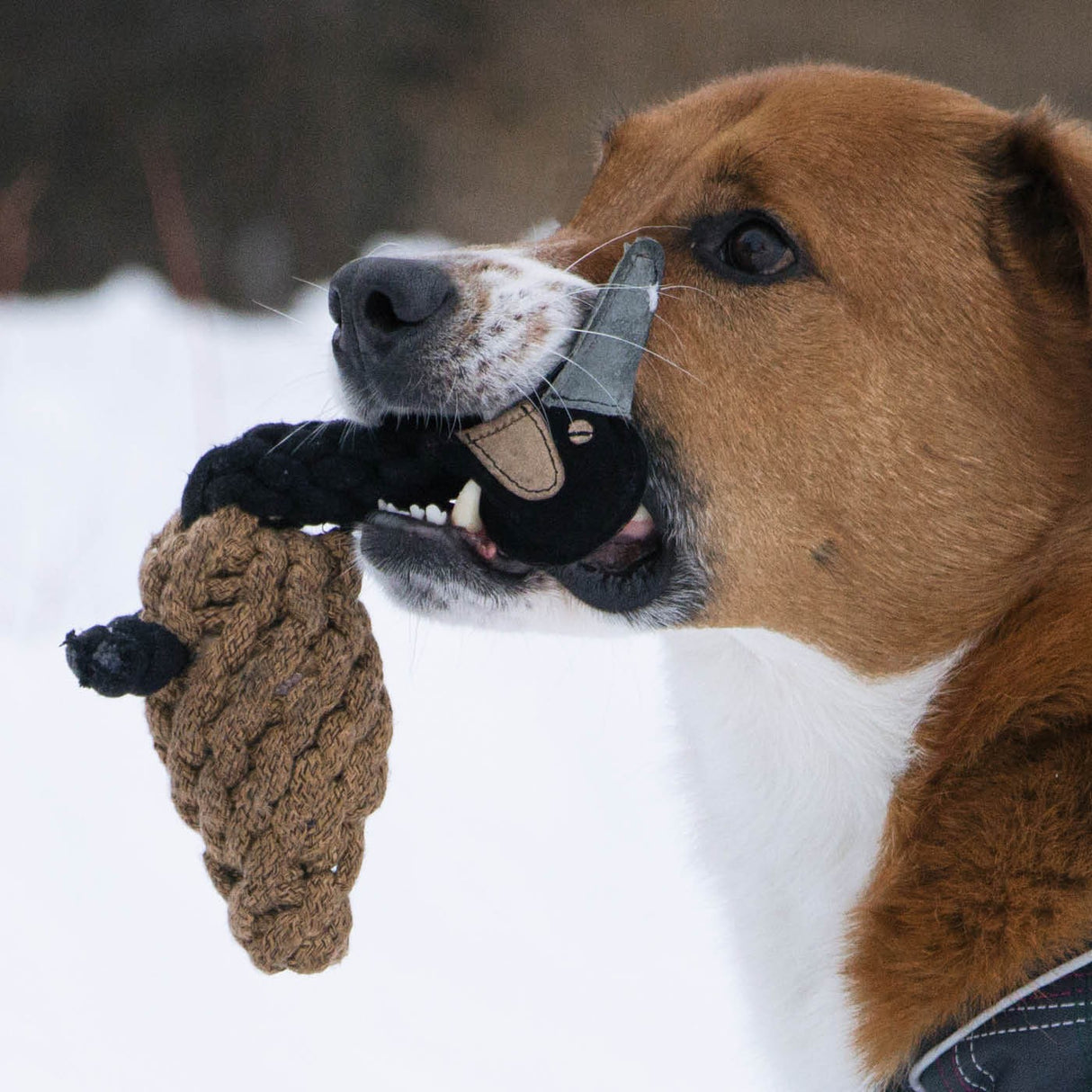 Jouet pour chien en corde d'oie Shedrow K9