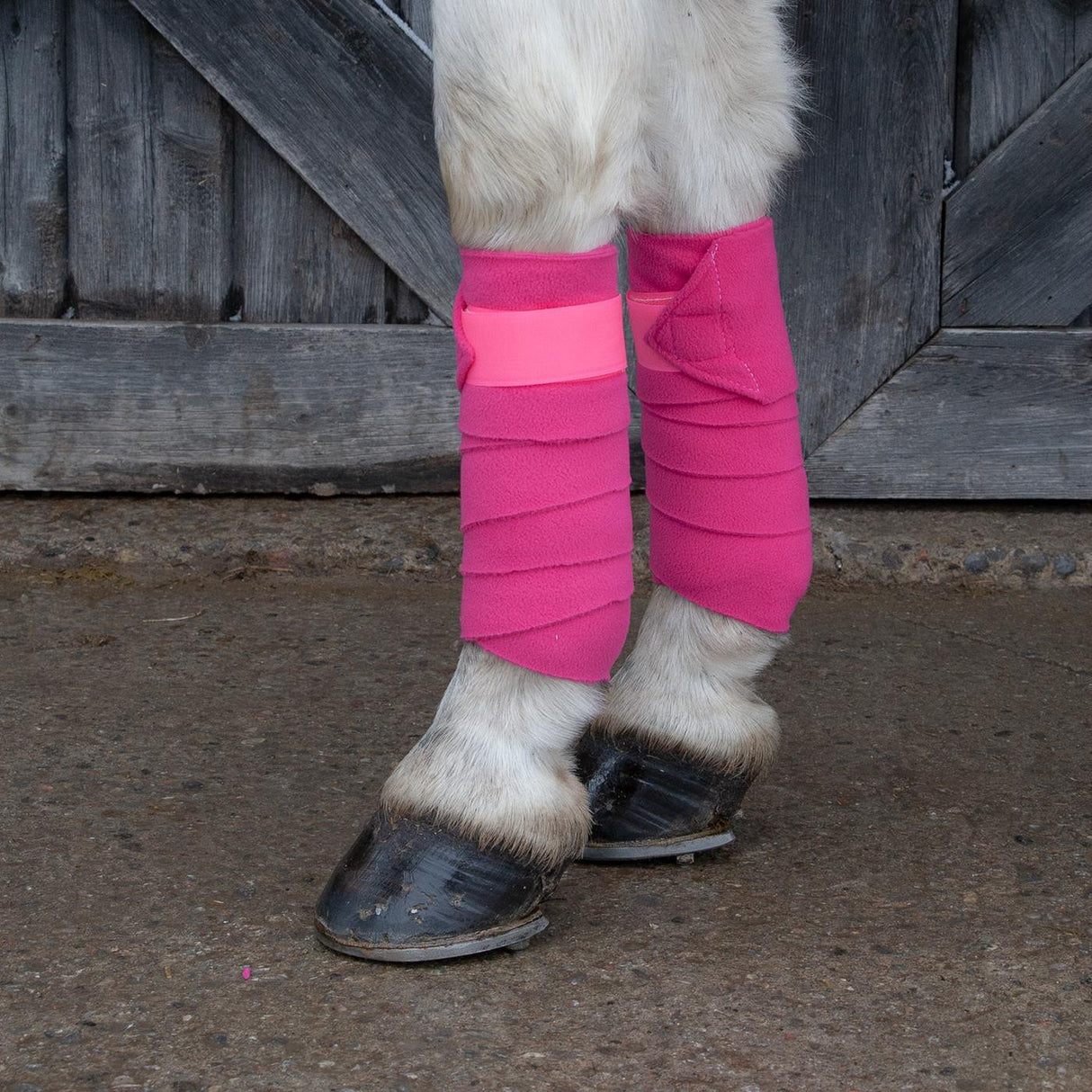 Pansements de polo poney de Vac
