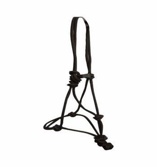 Copper Canyon Rope Halter W- Lead