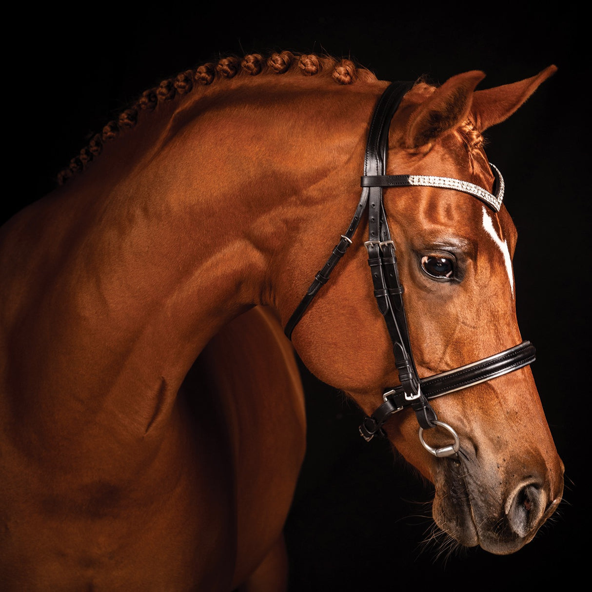 Bridon de dressage FFE Crystal V avec passepoil argenté