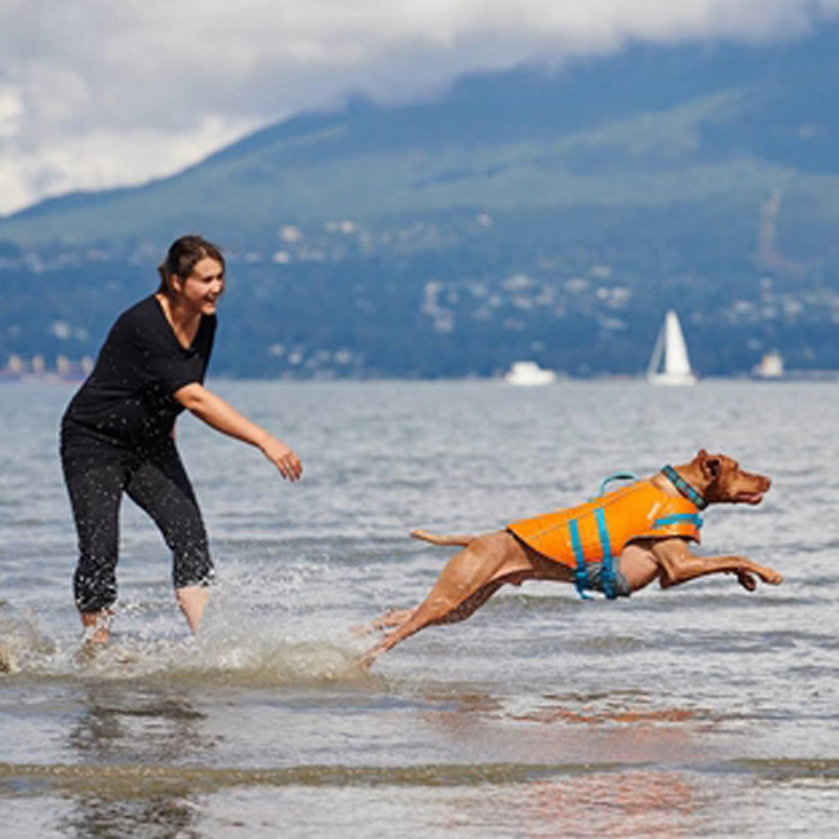 RC Pet Tidal Life Vest