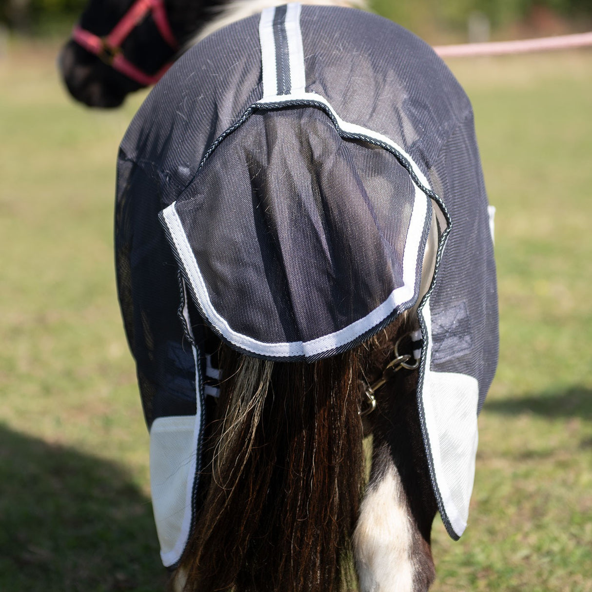 Supra Miniature Fly Sheet W- Belly Band & Fly Mask