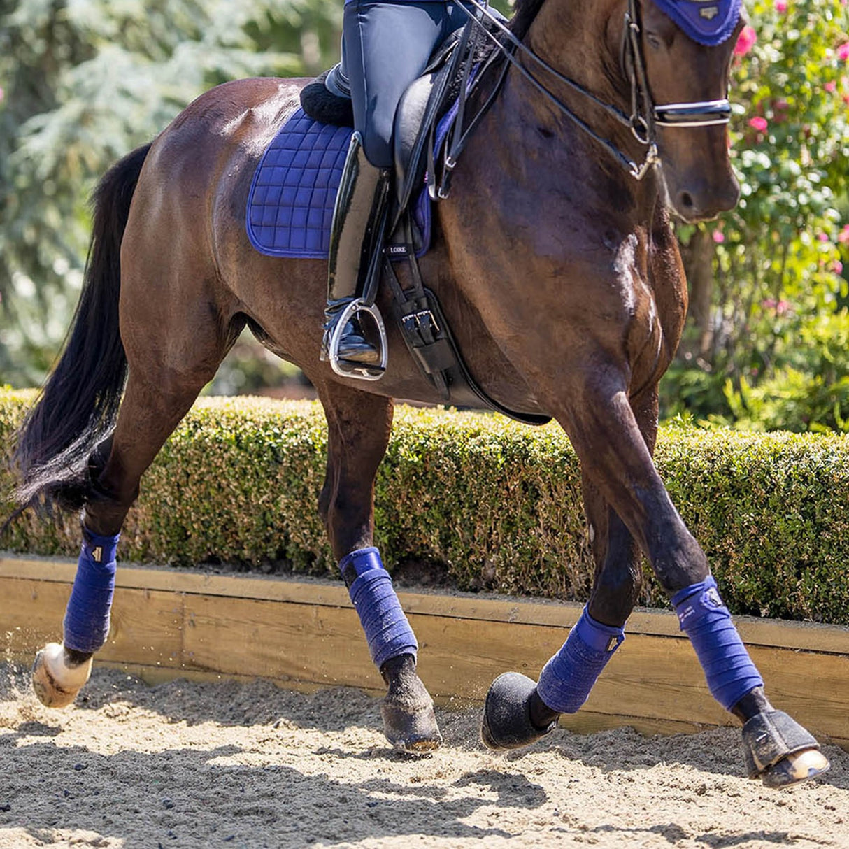 LeMieux Loire Polo Bandages