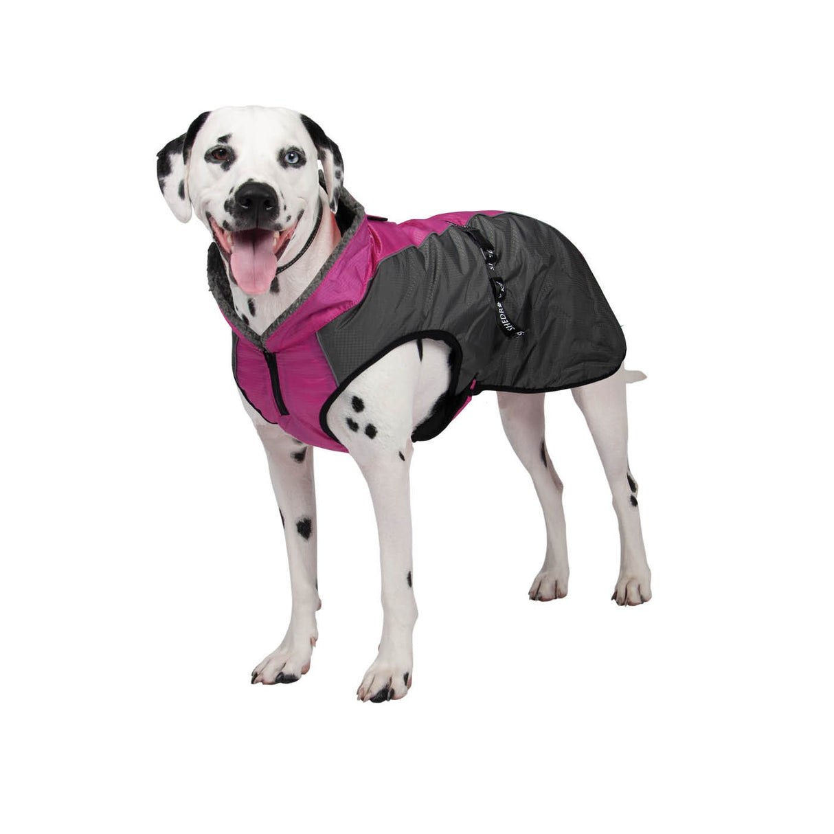 Manteau pour chien Shedrow K9 Chinook