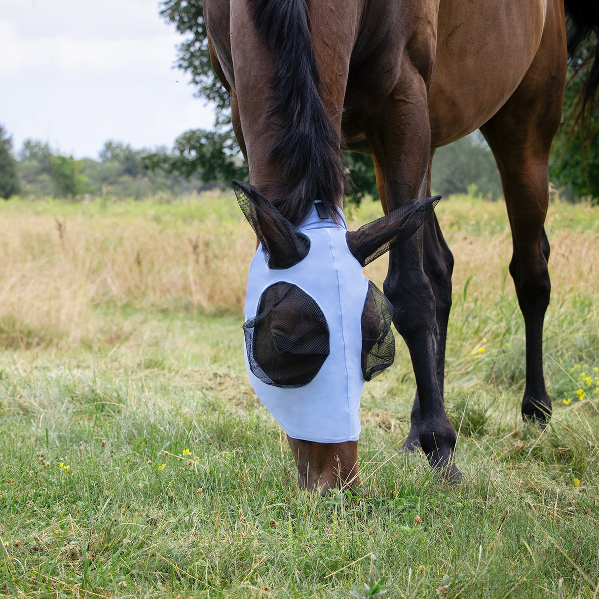 Masque anti-mouches Summit Lycra