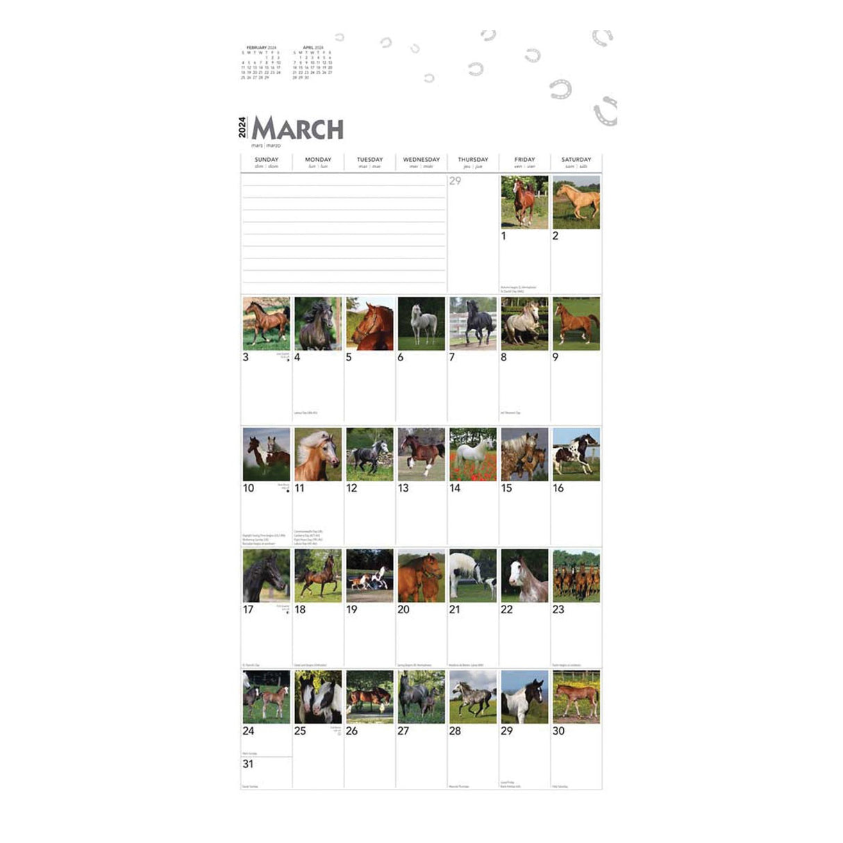 BrownTrout 366 Days of Horses 2024 Square Calendar