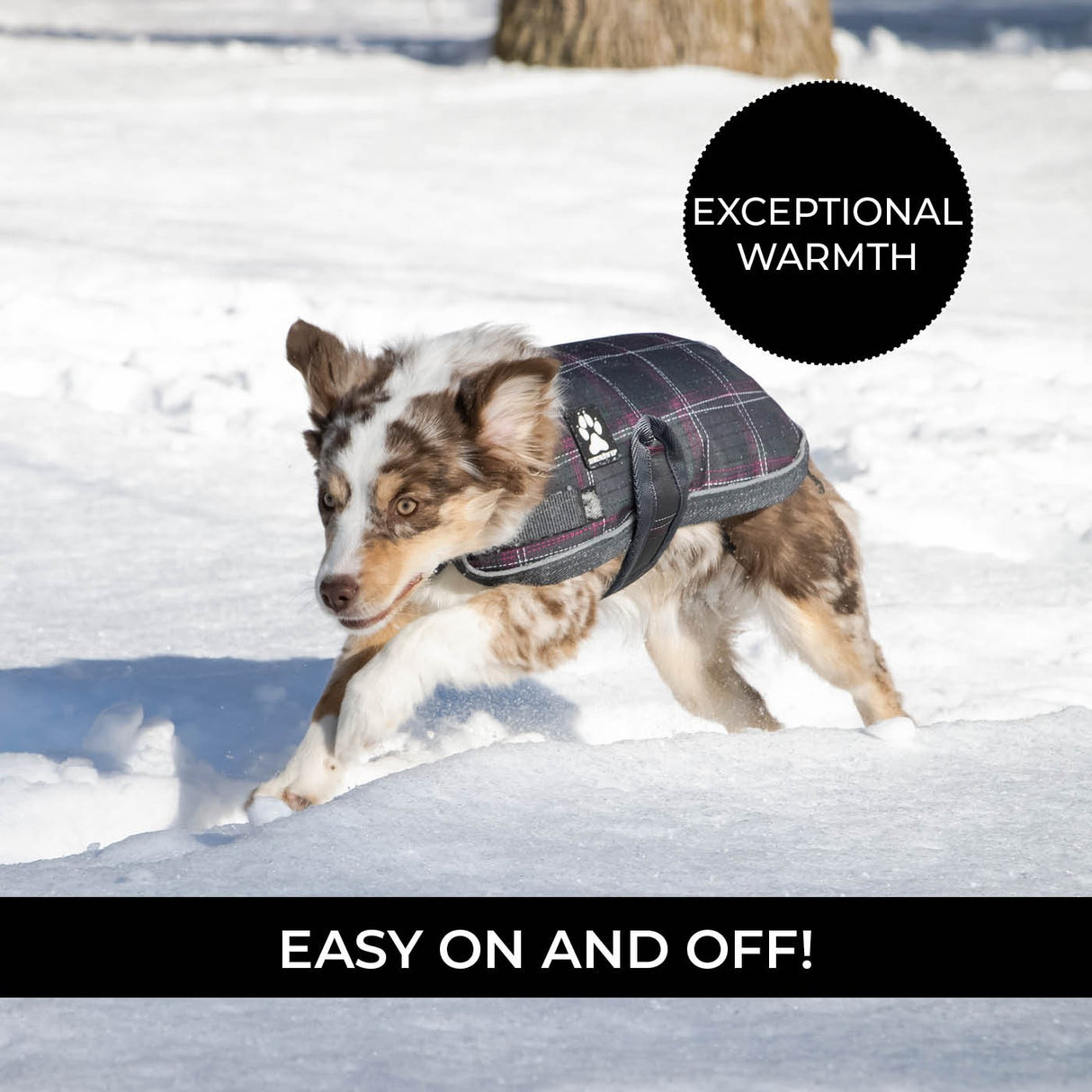Manteau pour chien Shedrow K9 Glacier