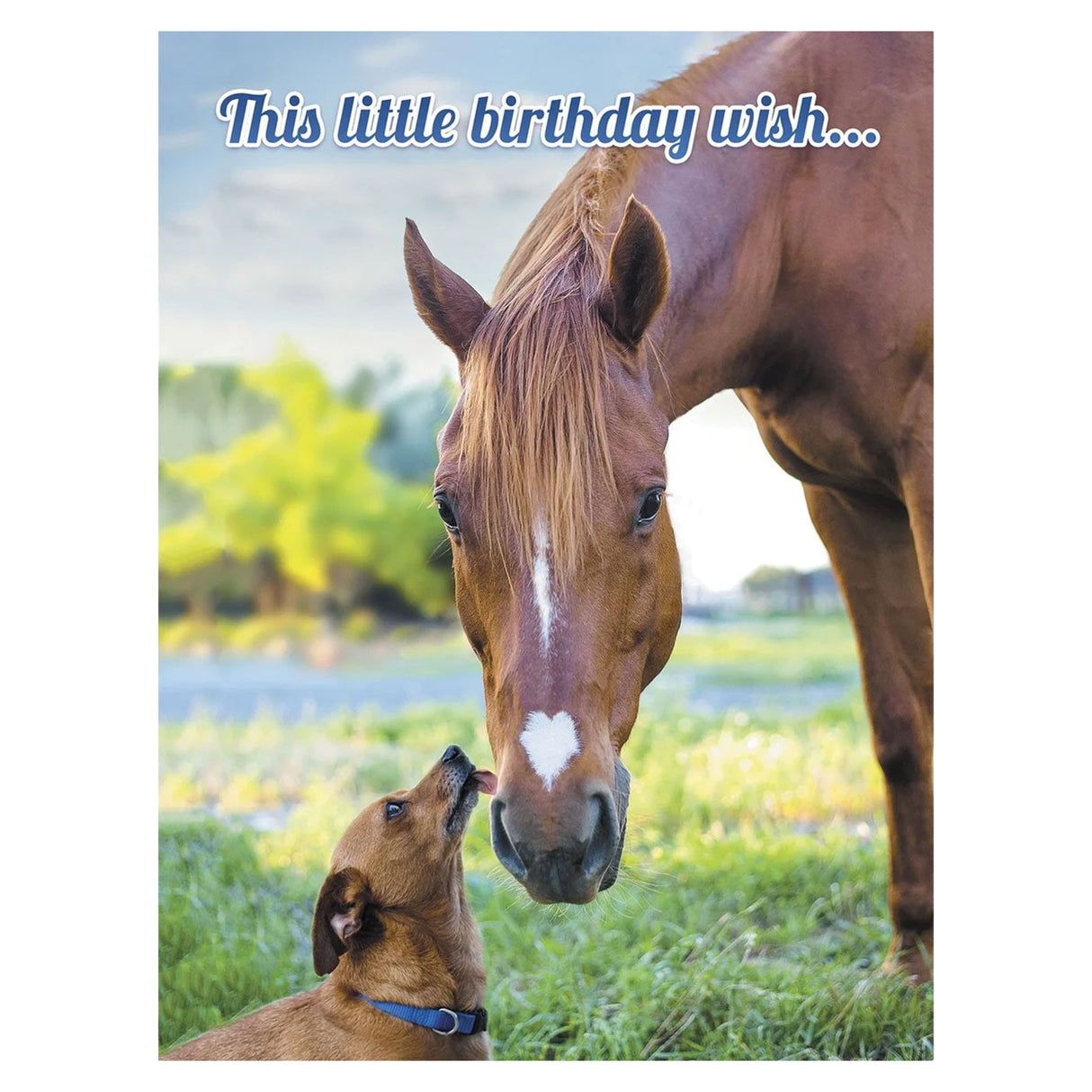 Leanin' Tree Dog Licks Nose of Horse Card