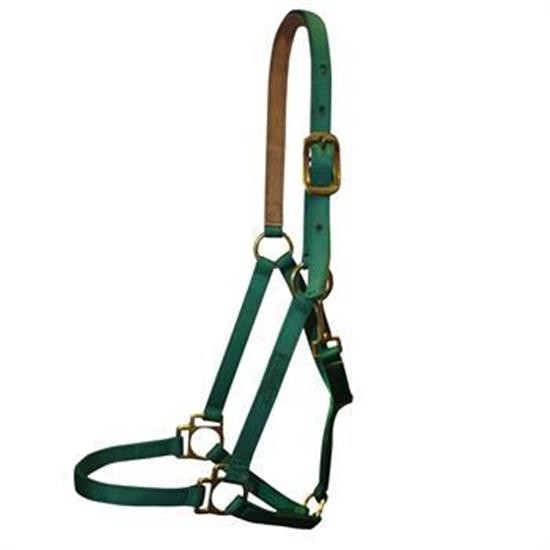 Shedrow Deluxe 3-4 po. Licou