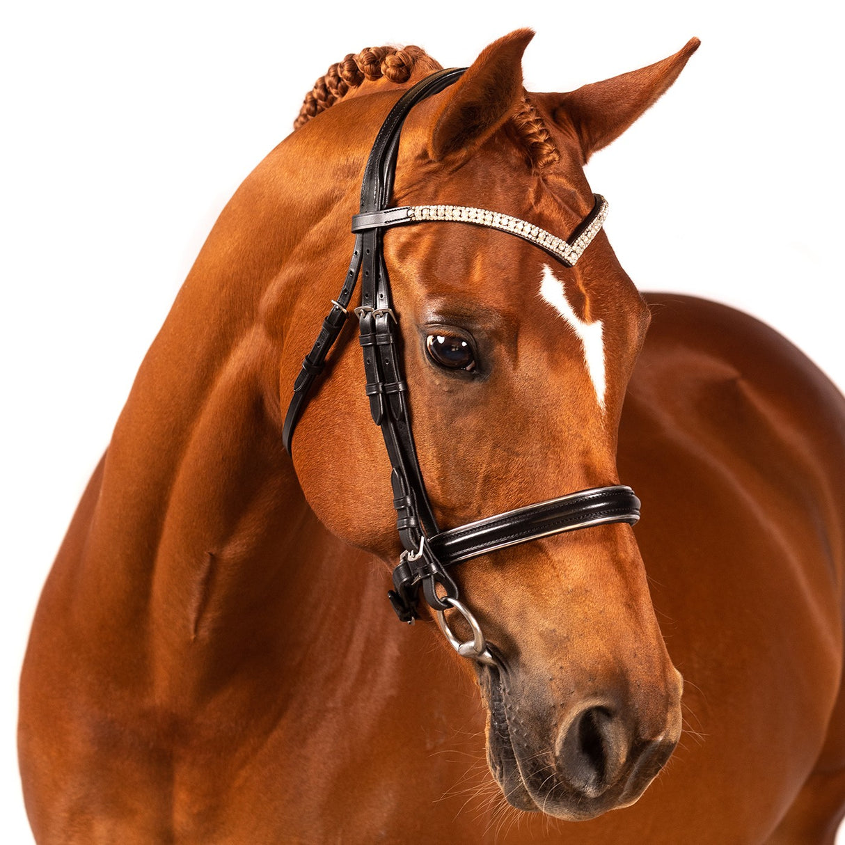 Bridon de dressage FFE Crystal V avec passepoil argenté