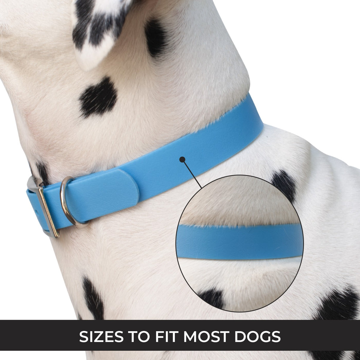 Collier imperméable Shedrow K9 Tofino II