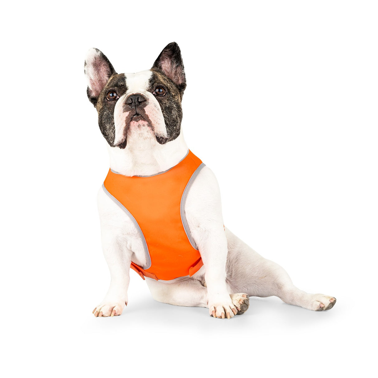 Canada Pooch Gilet de sécurité haute visibilité