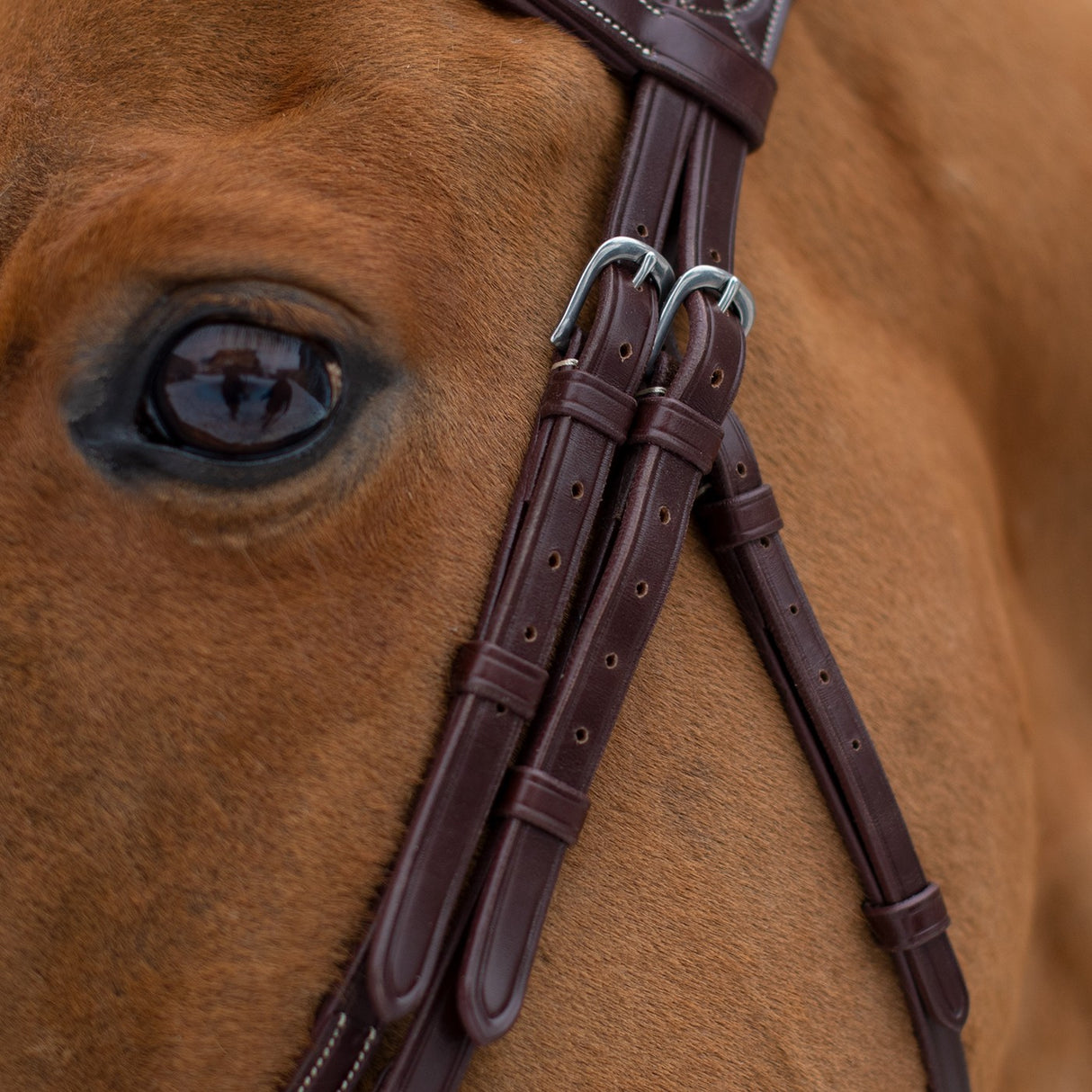 Mondega Doppio Comfort Poll Fancy Stitched Bridle