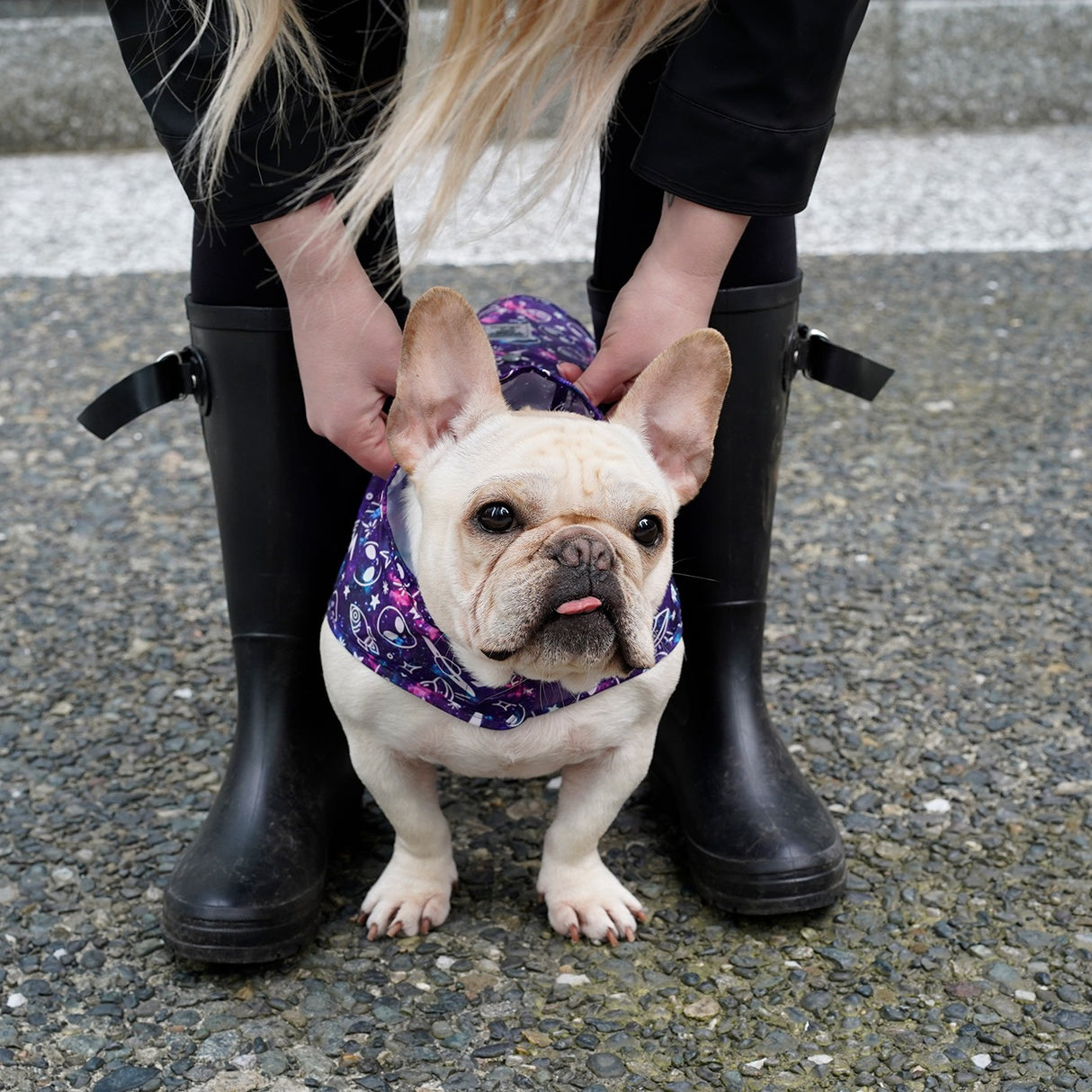 Canada Pooch Pick Me Poncho Lueur