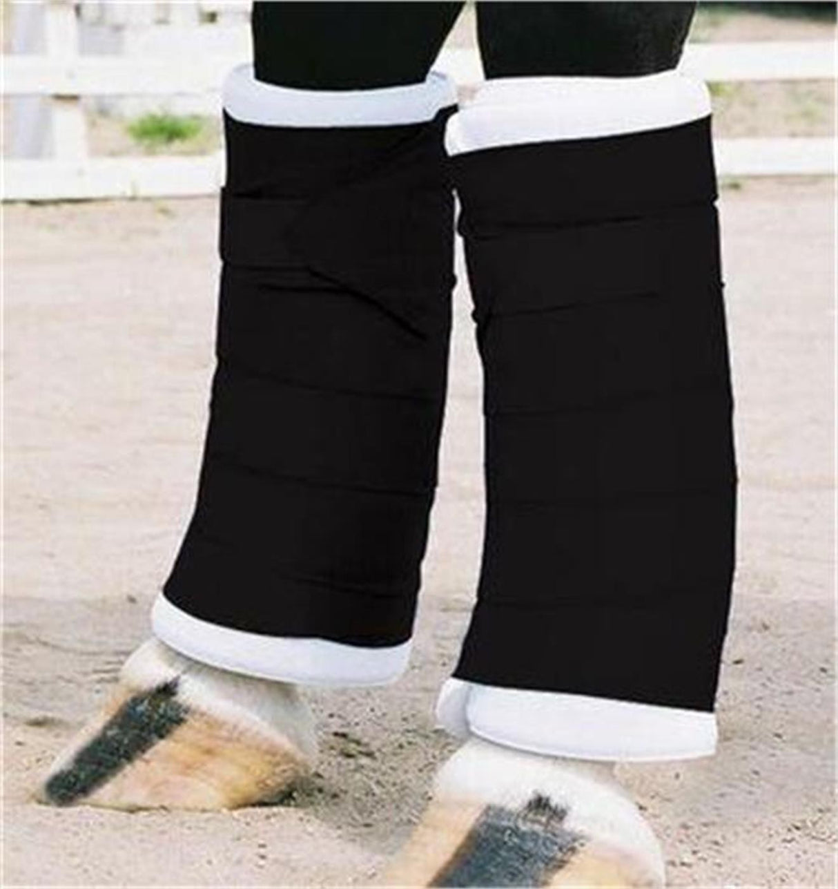 Bandages Debout Shedrow - Poney
