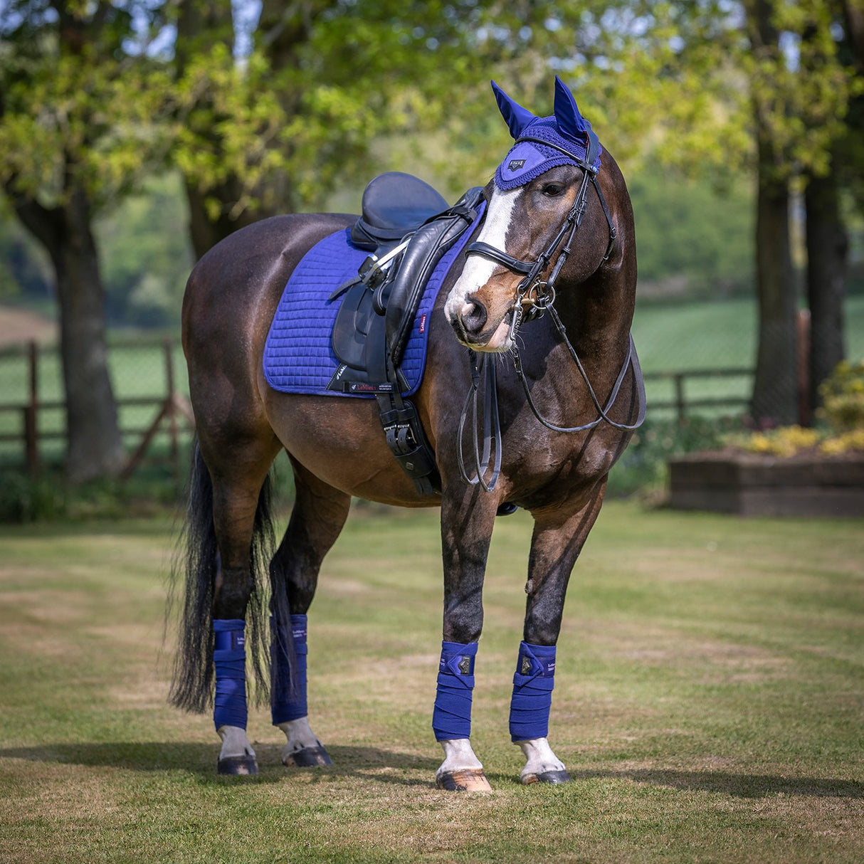 Coussin carré de dressage en daim LeMieux