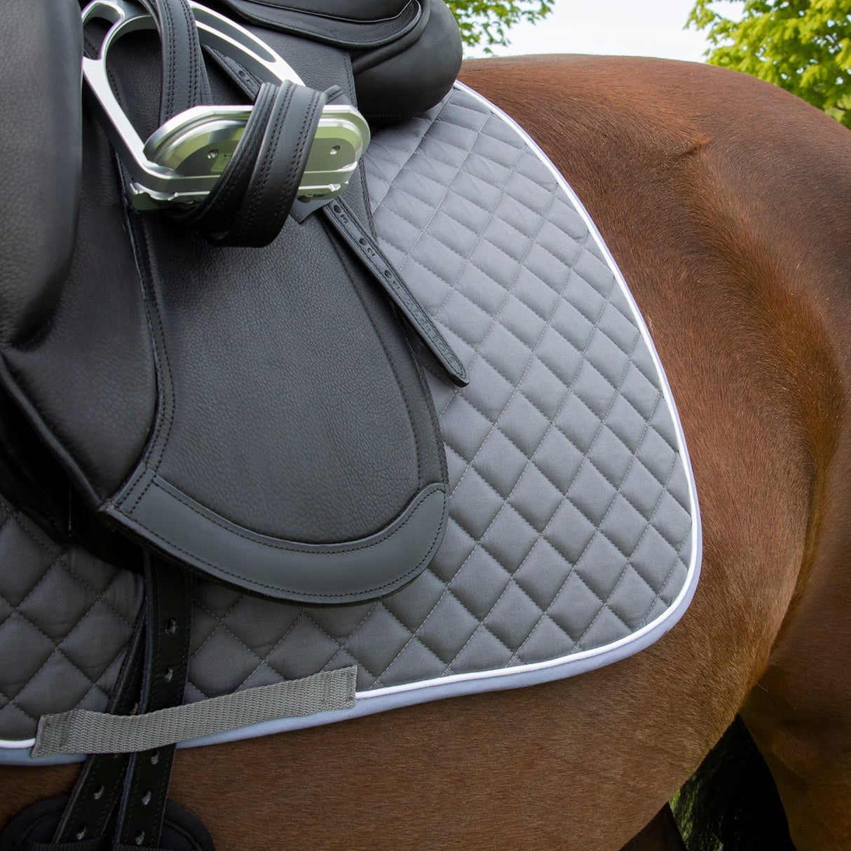 Shedrow Original Saddle Pad - Dressage