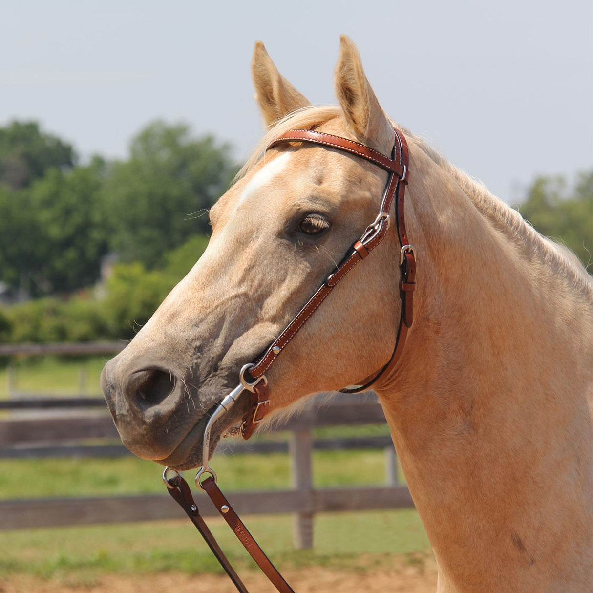 Bride frontale en cuir fini Copper Canyon avec vis Chicago