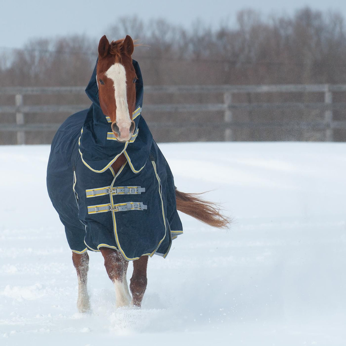Summit Atlas Turnout 150 g