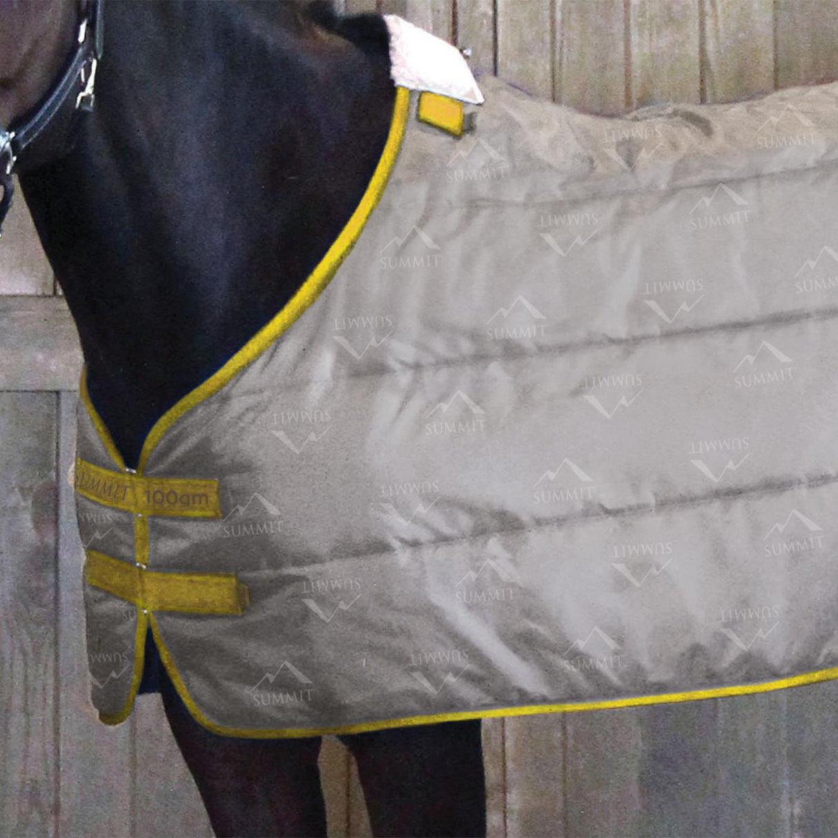 Summit Liner 100 g