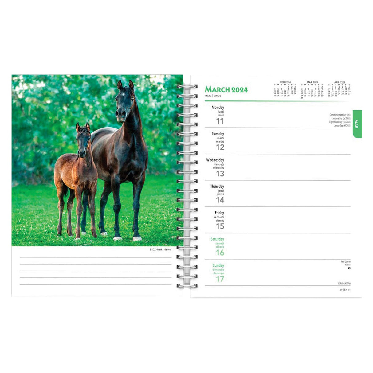 BrownTrout Horse Lovers 2024 Weekly Engagement Calendar