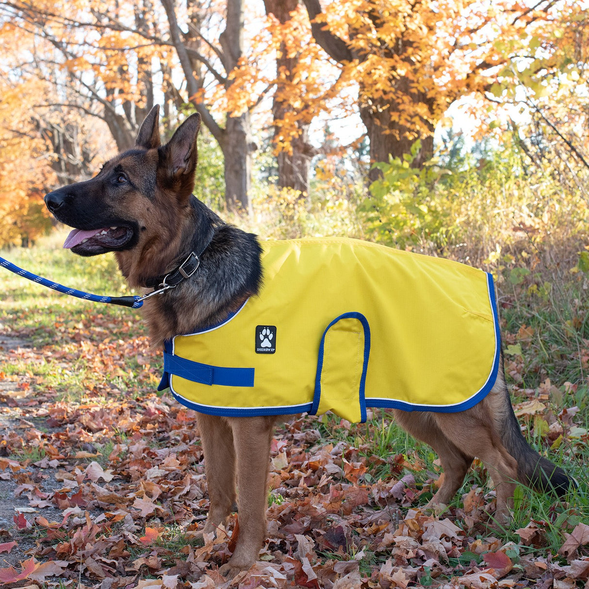 Manteau de pluie Shedrow K9 Harbour