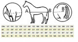 Bucas Smartex Turnout Rain 0 g