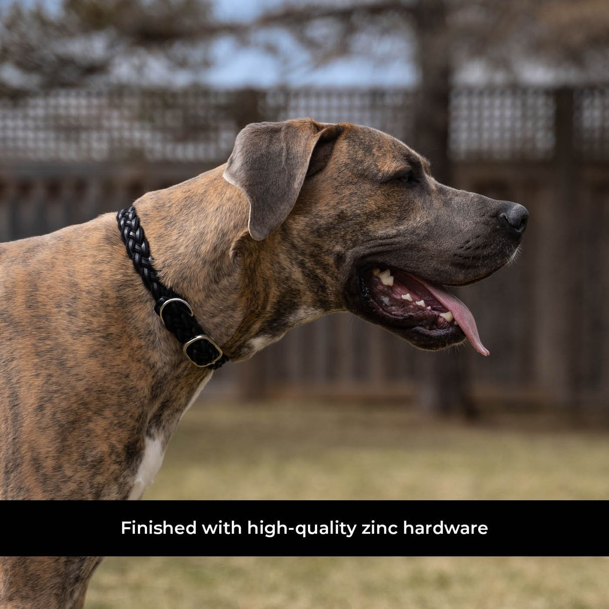 Shedrow K9 Rideau Corde tressée et collier en cuir