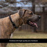 Shedrow K9 Rideau Corde tressée et collier en cuir