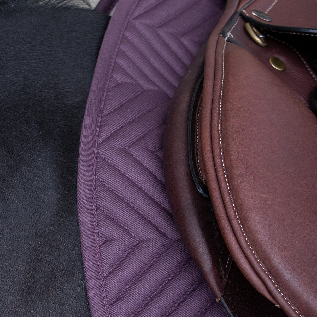 Tapis de selle Supra Every Day Essential