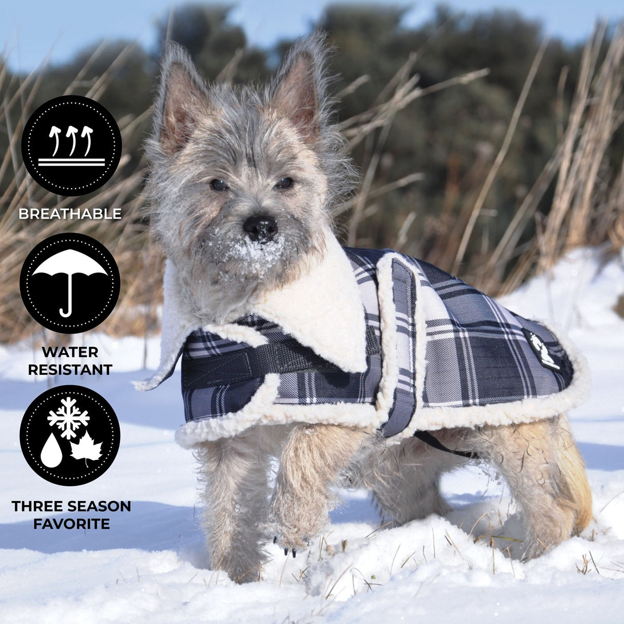 Shedrow K9 Aspen Dog Coat