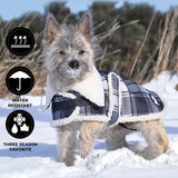Shedrow K9 Aspen Dog Coat