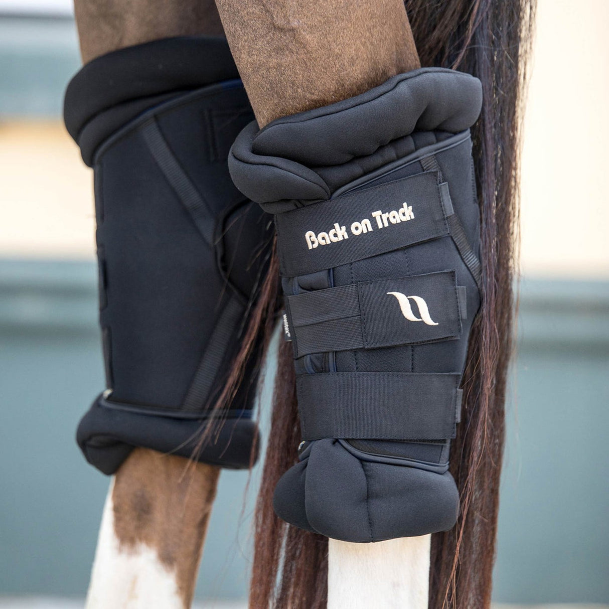 Botte de jarret Royal Deluxe Back on Track