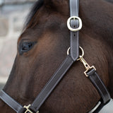Val du Bois Convertible Leather Grooming Halter