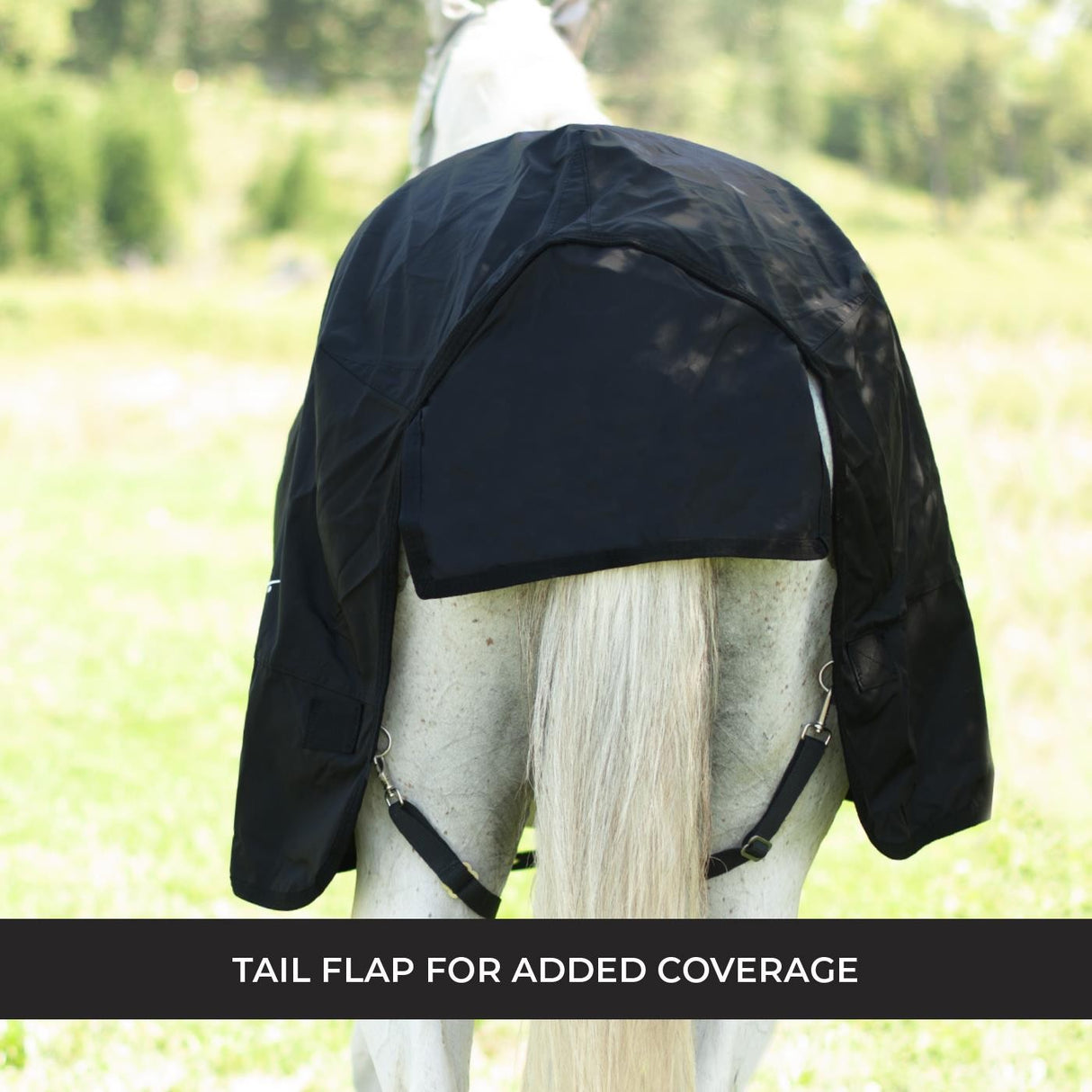 Drap de pluie Shedrow