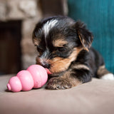 Kong Chiot