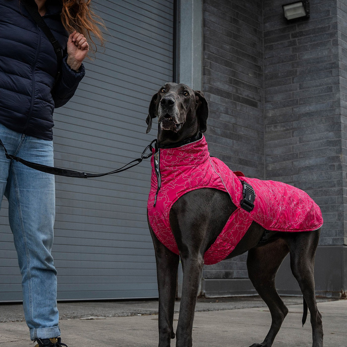 Canada Pooch The Expedition Dog Coat 2.0